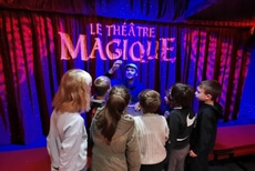 spectacle magie itinerant