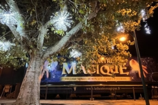 spectacle magie itinerant